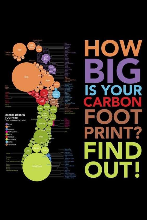 Carbon Footprint Accounting