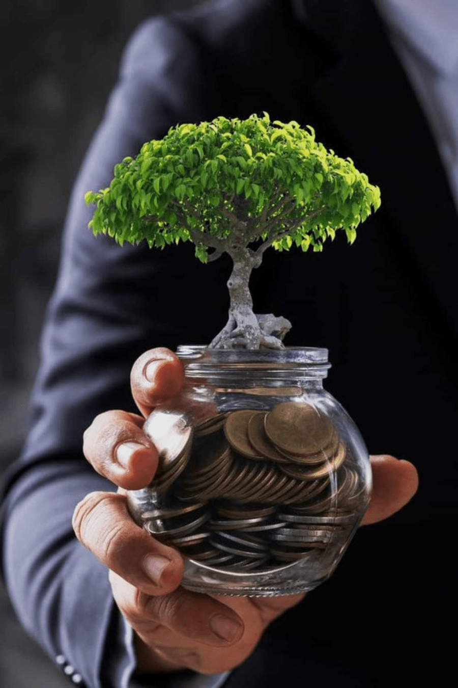 Carbon Credit Trading Solutions