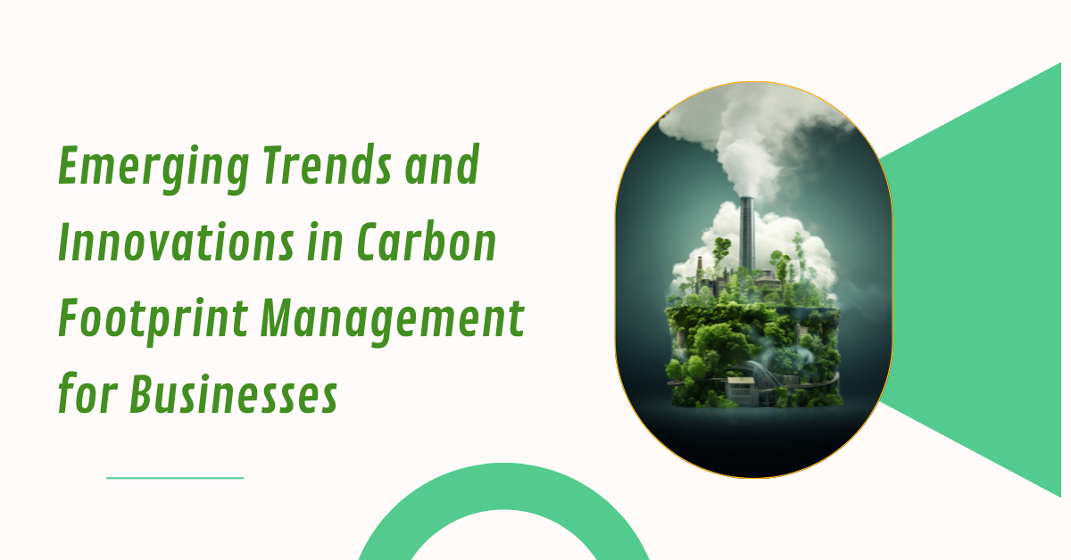 Carbon Footprint Management